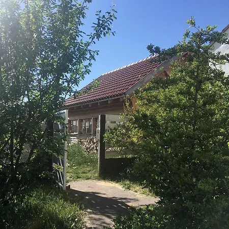 Morgi Na Lebkach * Lebki