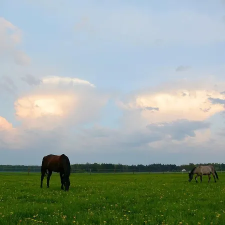Farm stay Morgi Na Lebkach Lebki