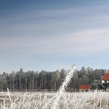 Morgi Na łebkach * Lebki