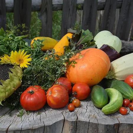 Morgi Na Lebkach Farm stay *