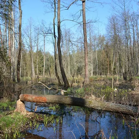 Bauernhof Morgi Na Lebkach *