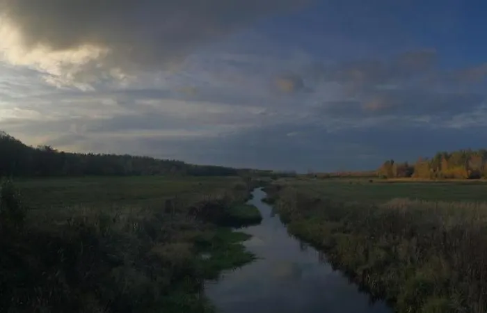 Morgi Na Lebkach Farma