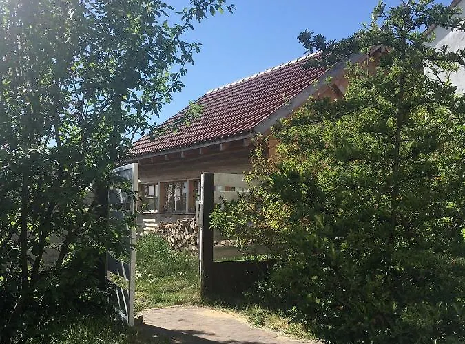 Morgi Na Lebkach * Lebki