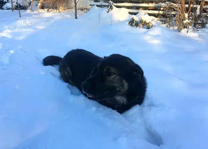 Farma Morgi Na Lebkach