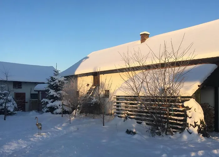 Morgi Na Lebkach * Lebki