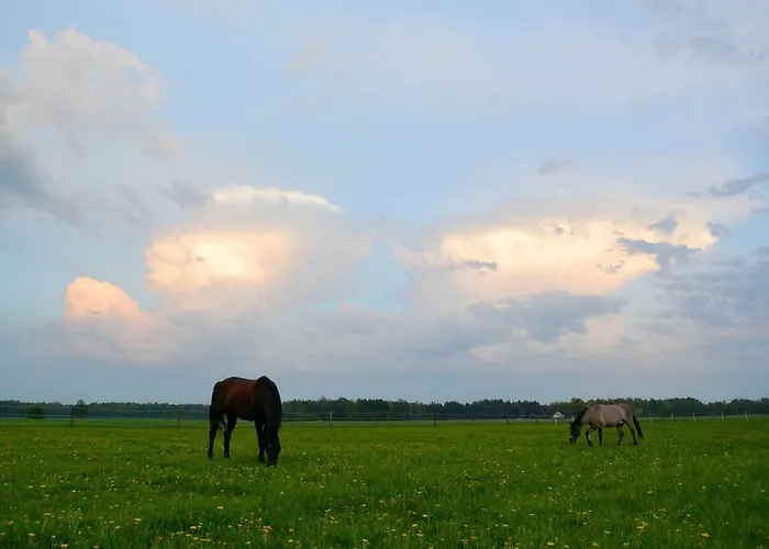 Farma Morgi Na Lebkach Lebki
