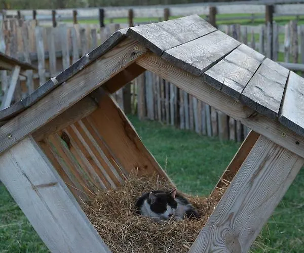 Morgi Na Lebkach Farma Lebki
