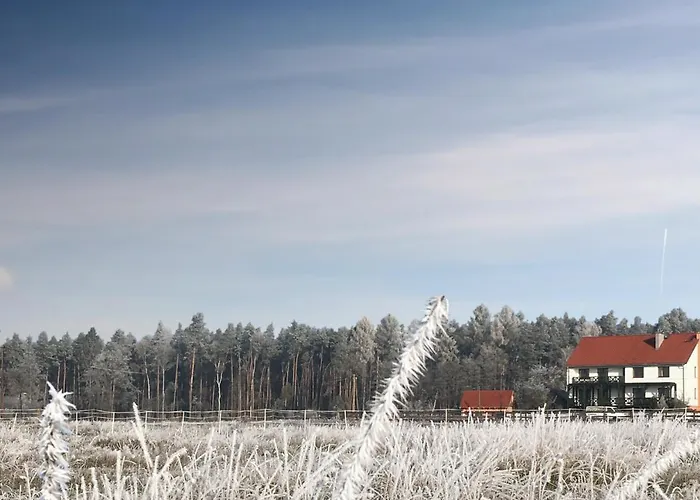 Morgi Na Lebkach * Lebki