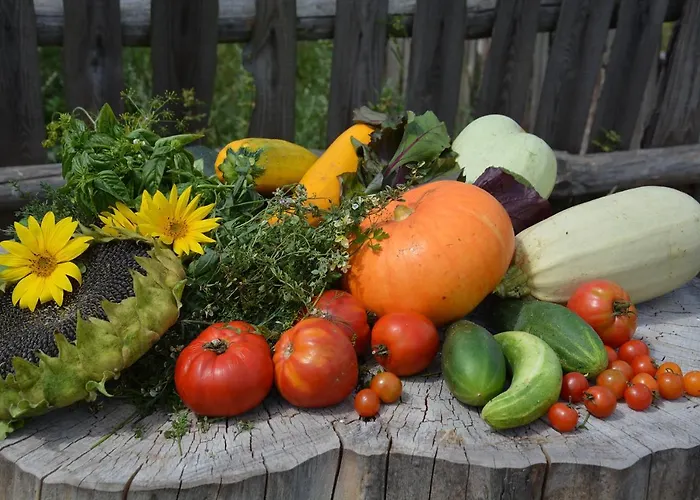 Morgi Na Lebkach Farma *