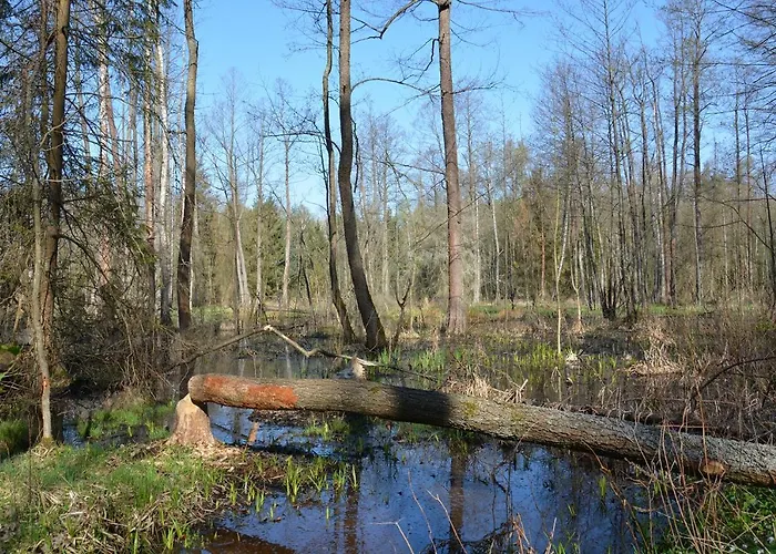 Farma Morgi Na Lebkach *