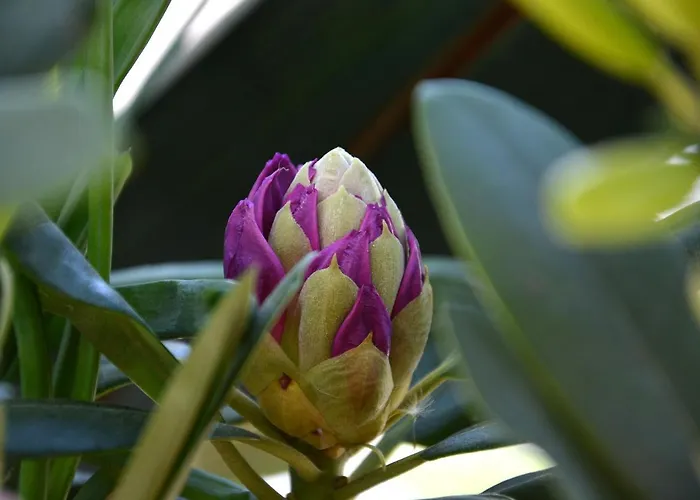 בית חווה Morgi Na Lebkach Lebki