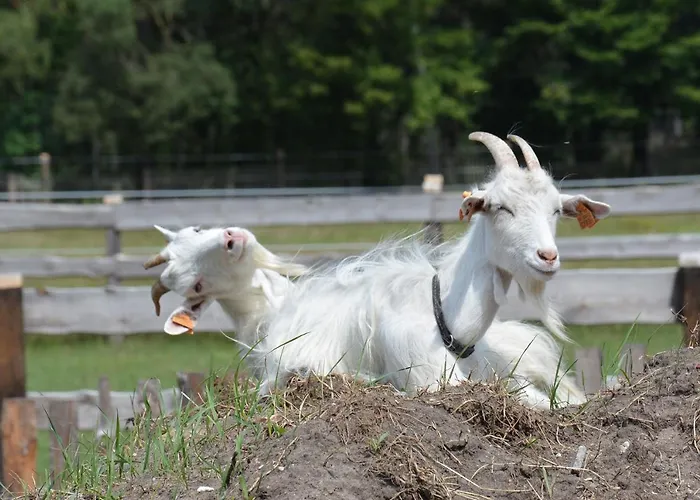 Morgi Na Lebkach בית חווה