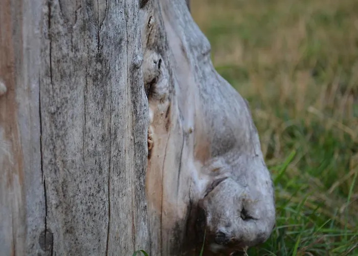 בית חווה Morgi Na Lebkach *